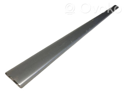 Front door decorative trim (molding)