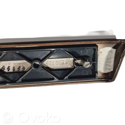 Cita veida priekšpusē durvju dekoratīvās apdares detaļa