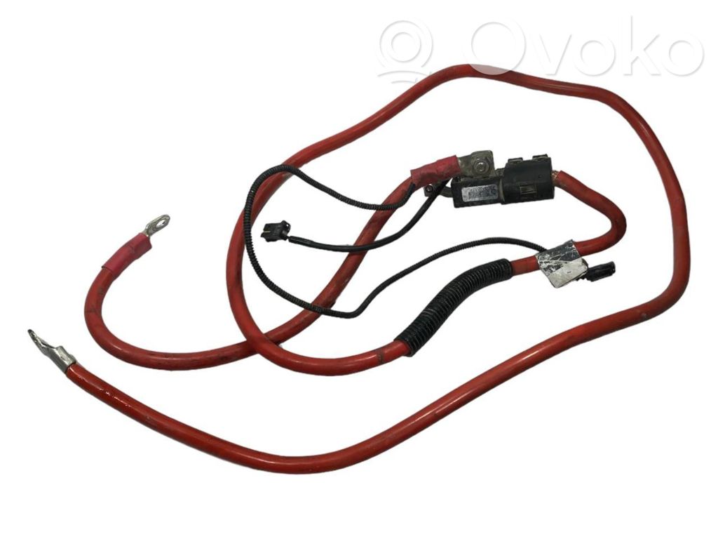 Plusa vads (akumulatora)