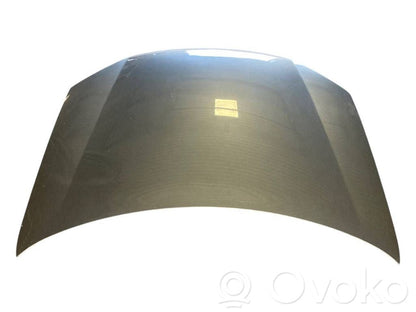 Dzinēja pārsegs (vāks)