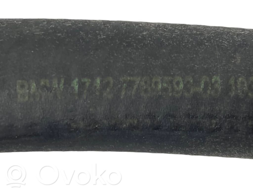 Caurulīte (-es) / šļūtene (-es)