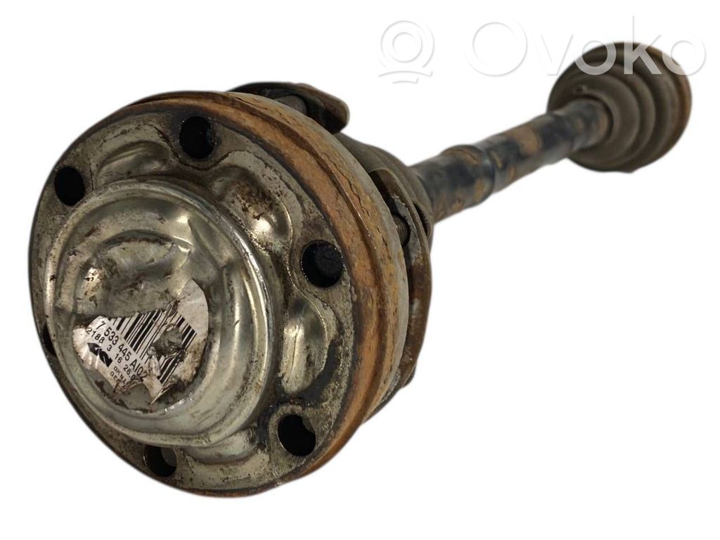 Aizmugurējā pusass