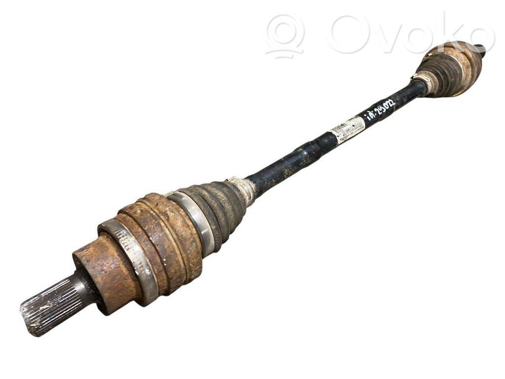 Aizmugurējā pusass