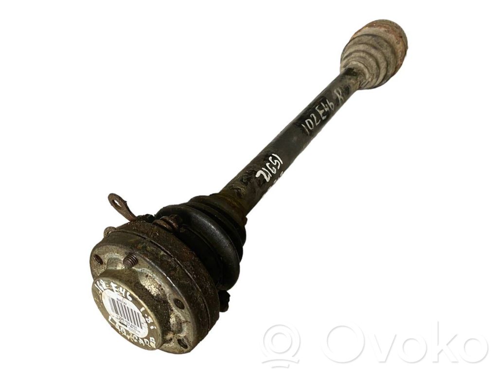 Aizmugurējā pusass