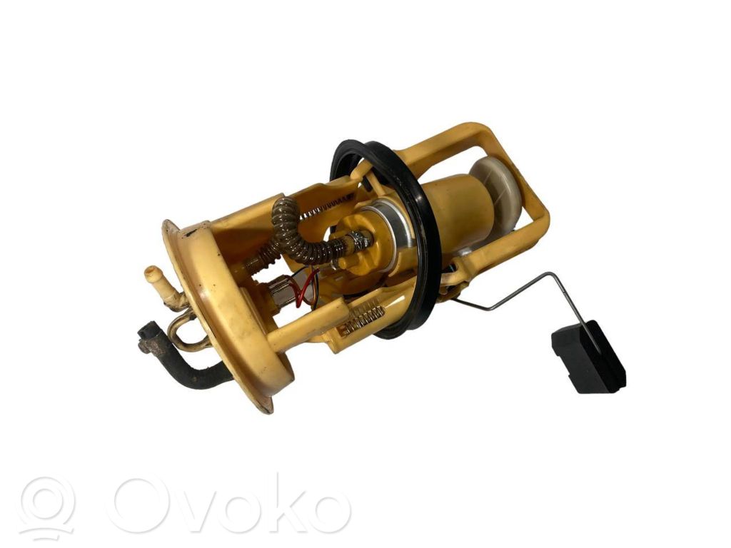 Fuel pump (in the fuel tank)