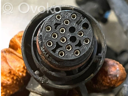 Engine wiring harness