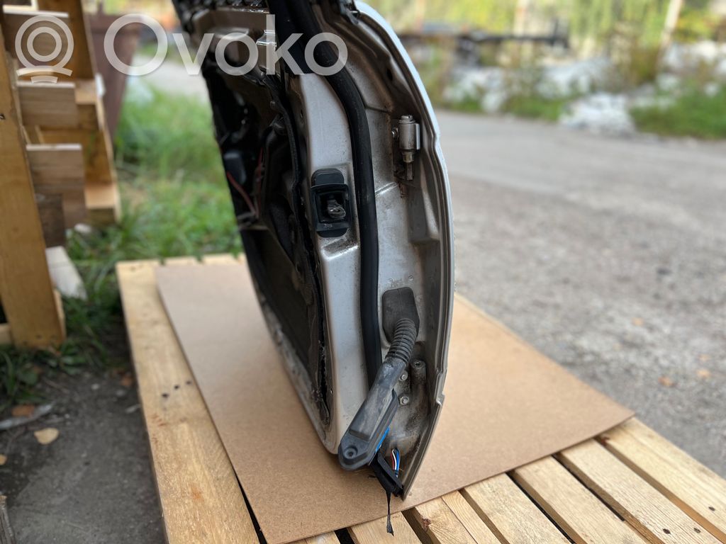 Aizmugurējās durvis