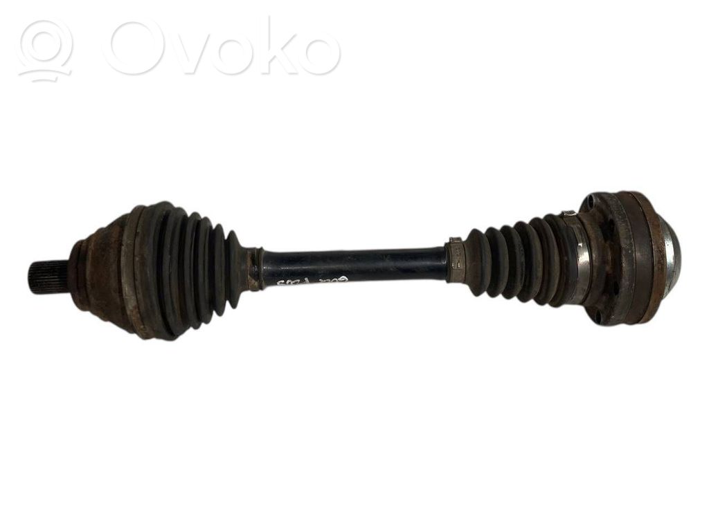 Priekšējā pusass