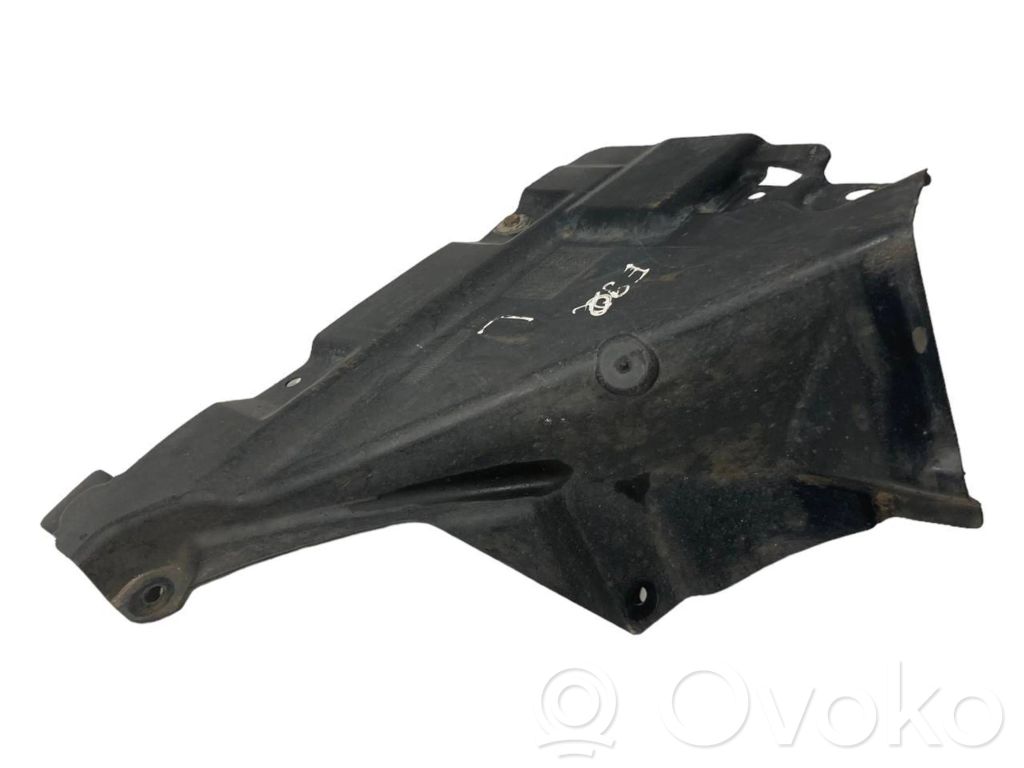 Under engine guard (front)