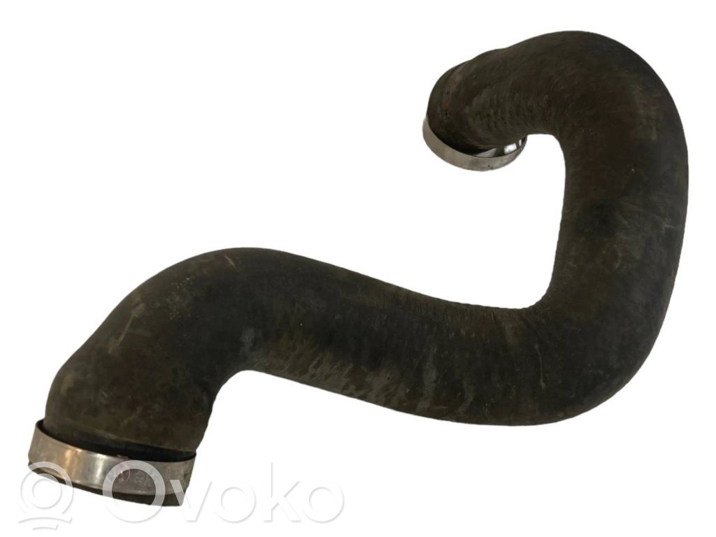 Caurulīte (-es) / šļūtene (-es)