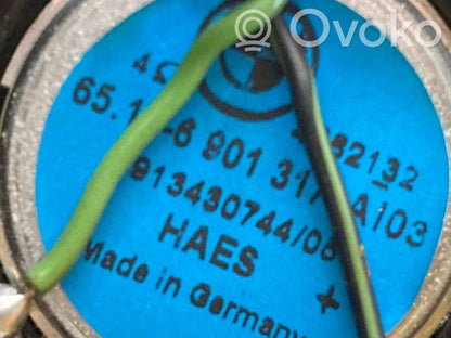 Aizmugurējā palodze