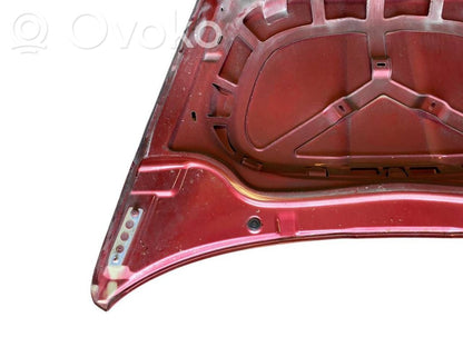 Dzinēja pārsegs (vāks)