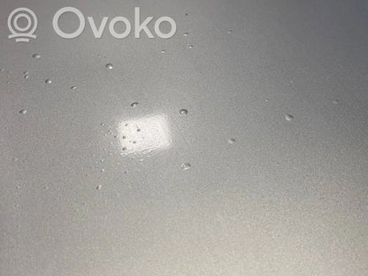 Dzinēja pārsegs (vāks)