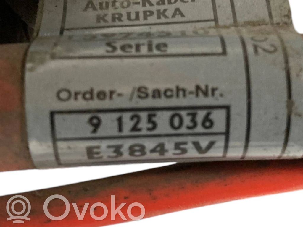 Plusa vads (akumulatora)