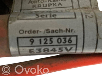 Plusa vads (akumulatora)