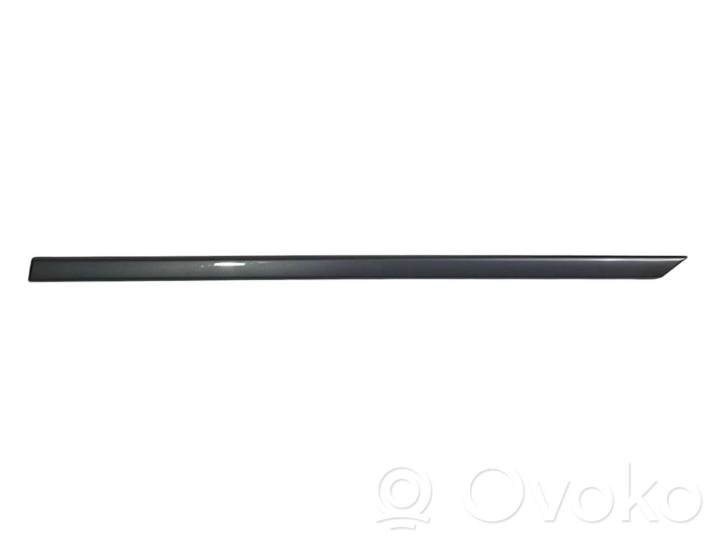 Aizmugurē durvju dekoratīvā apdare (moldings)