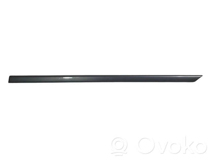 Aizmugurē durvju dekoratīvā apdare (moldings)