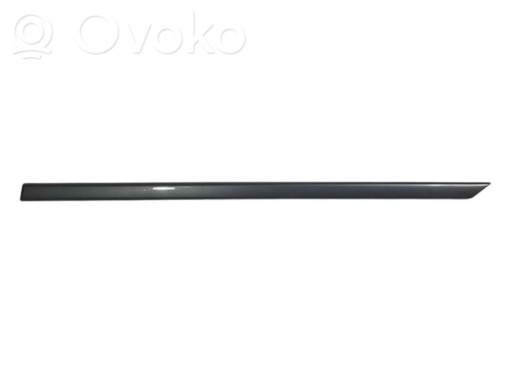 Aizmugurē durvju dekoratīvā apdare (moldings)