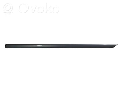 Aizmugurē durvju dekoratīvā apdare (moldings)