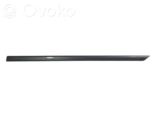 Aizmugurē durvju dekoratīvā apdare (moldings)