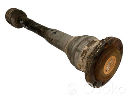 Aizmugurējā pusass