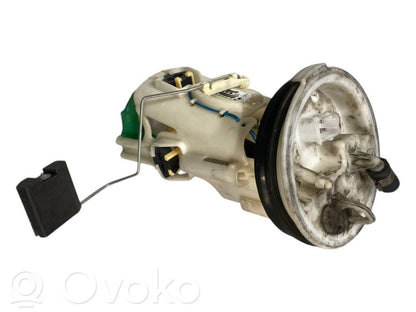 Fuel pump (in the fuel tank)