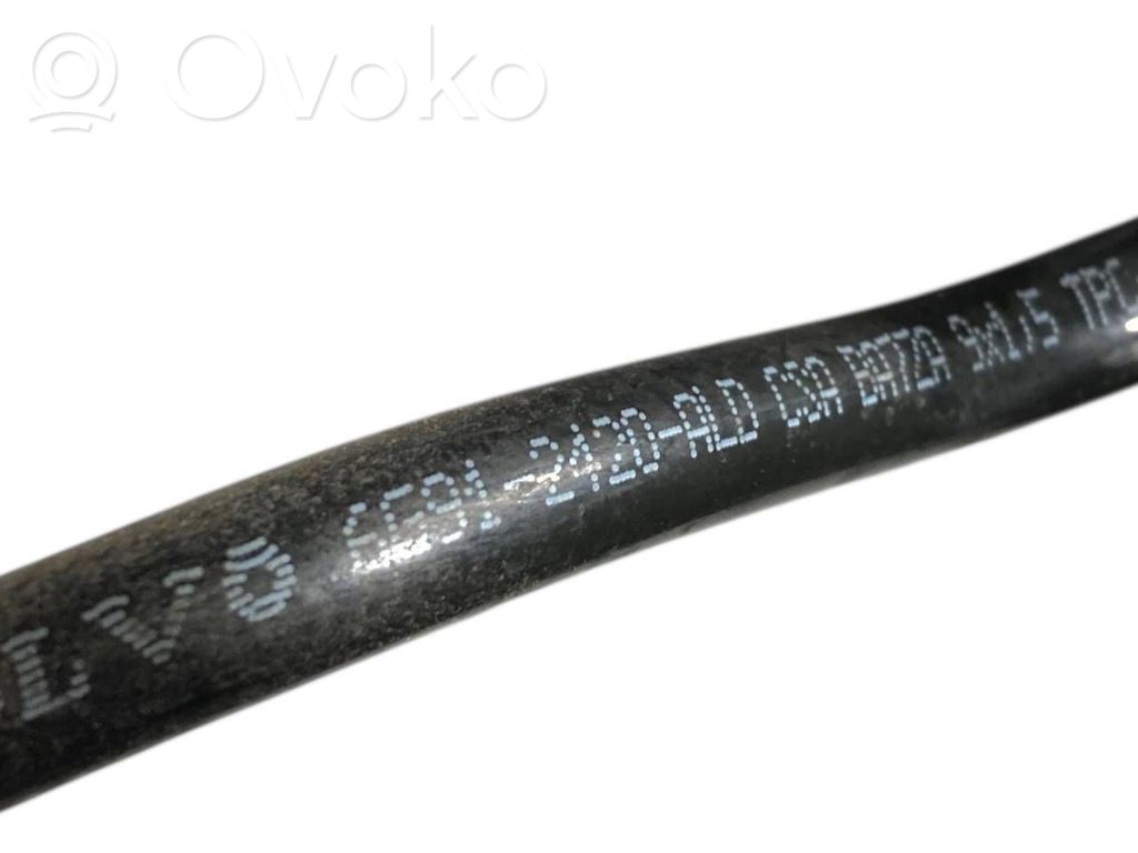 Caurulīte (-es) / šļūtene (-es)