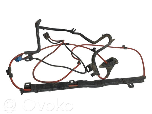 Plusa vads (akumulatora)