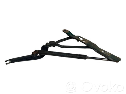 Aizmugurējā pārsega eņģe (-ess)