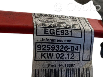 Plusa vads (akumulatora)