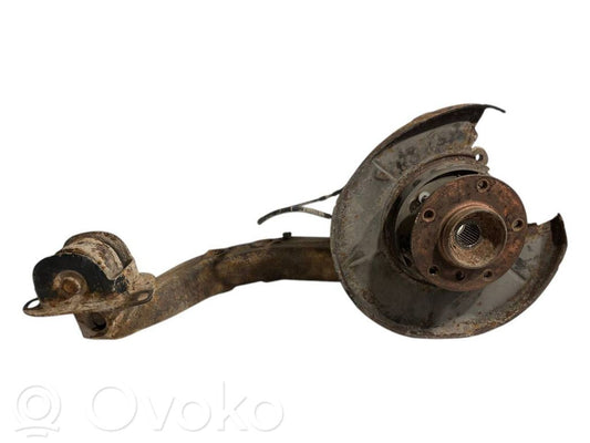 Rear wheel hub shaft joint (stupica, capfa)