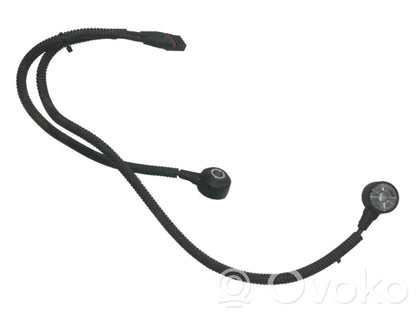 Detonācijas sensors