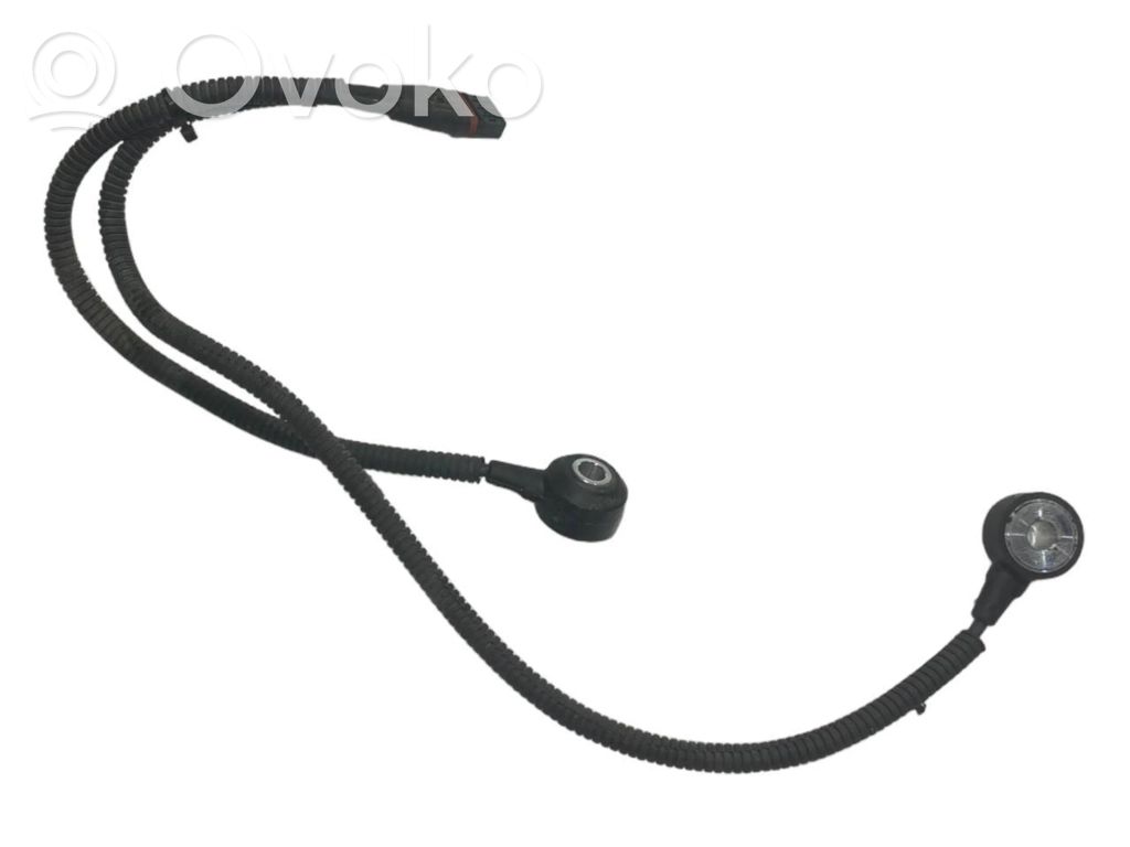 Knock sensor
