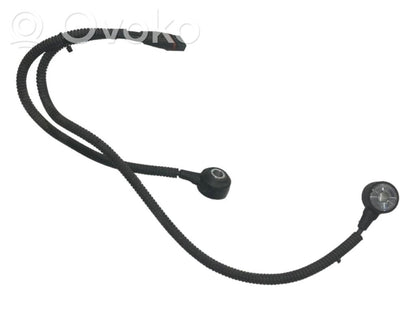 Knock sensor