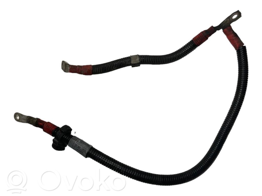 Plusa vads (akumulatora)