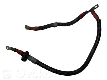 Plusa vads (akumulatora)