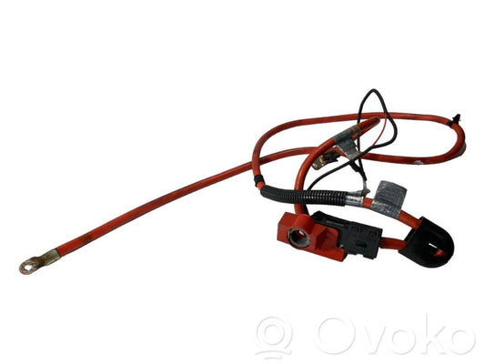 Plusa vads (akumulatora)