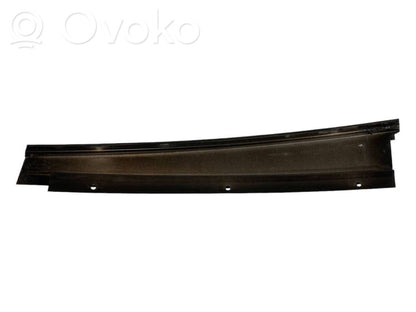 Rear door glass trim