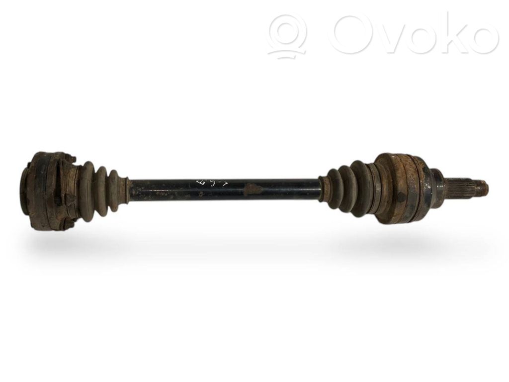 Aizmugurējā pusass