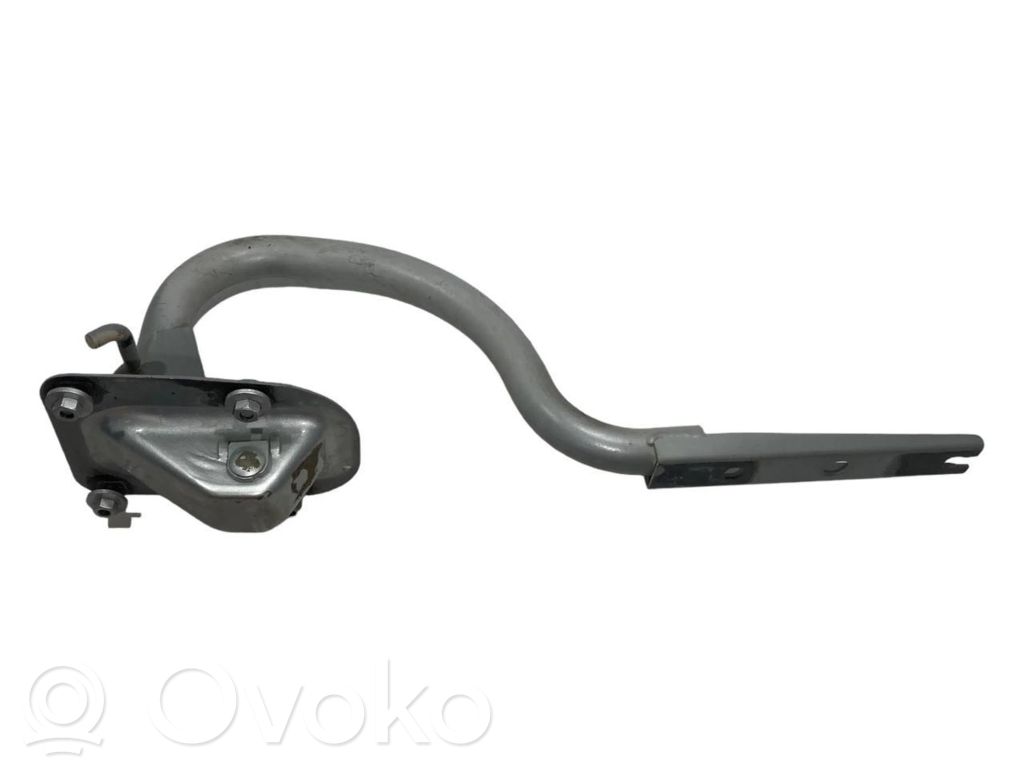 Aizmugurējā pārsega eņģe (-ess)