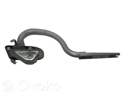 Aizmugurējā pārsega eņģe (-ess)