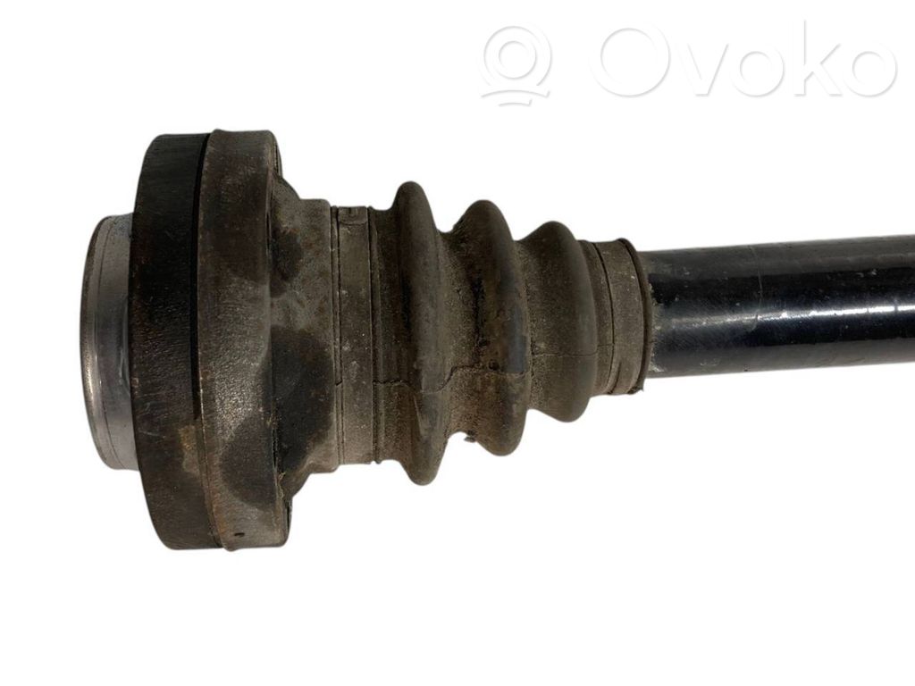 Aizmugurējā pusass