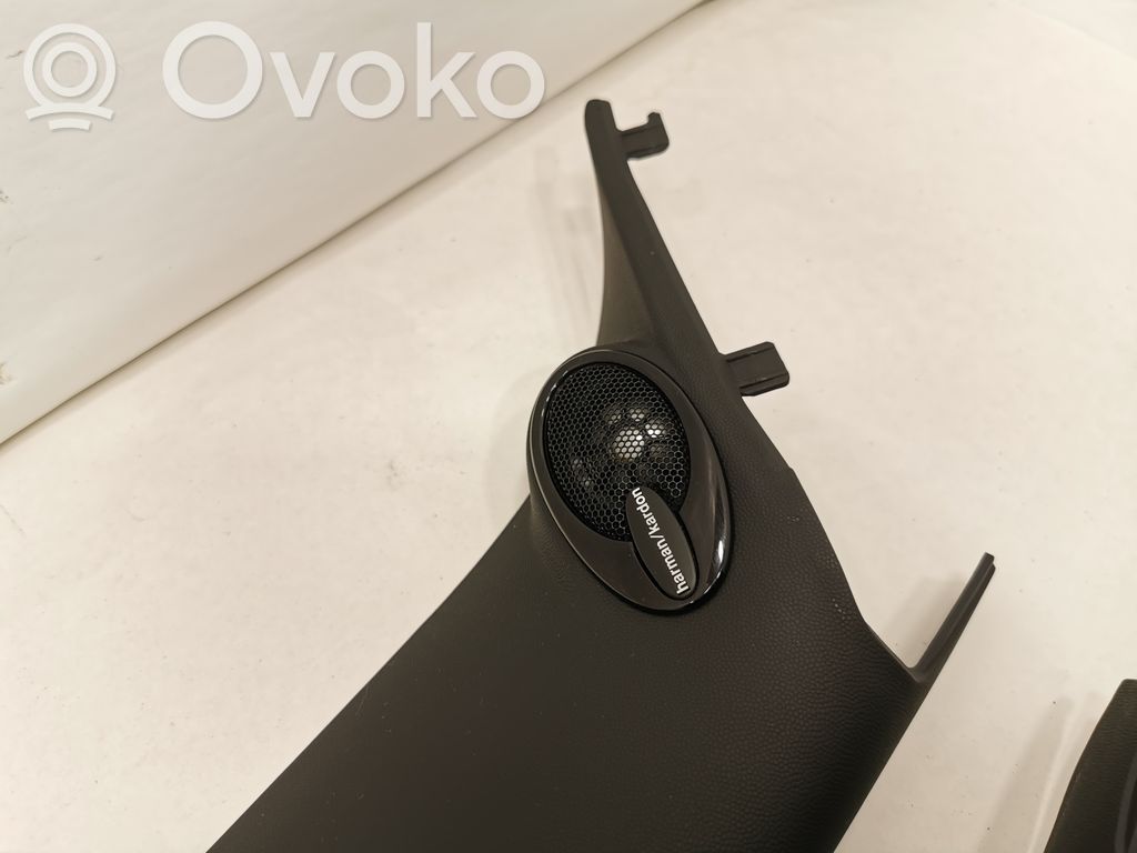 Твитер(ы) в передней двери