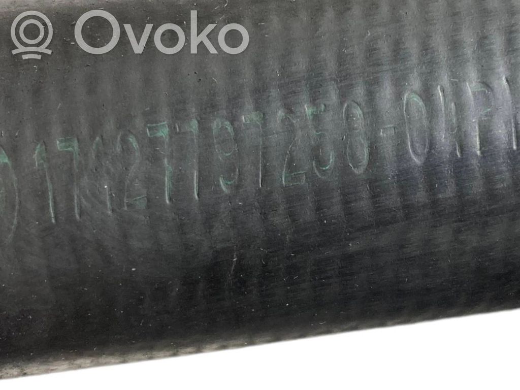 Caurulīte (-es) / šļūtene (-es)