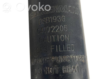 Front shock absorber with spring