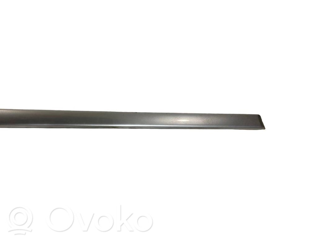 Front door decorative trim (molding)