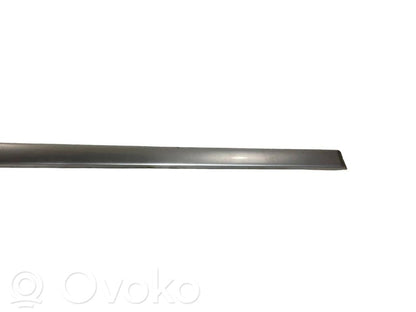 Front door decorative trim (molding)