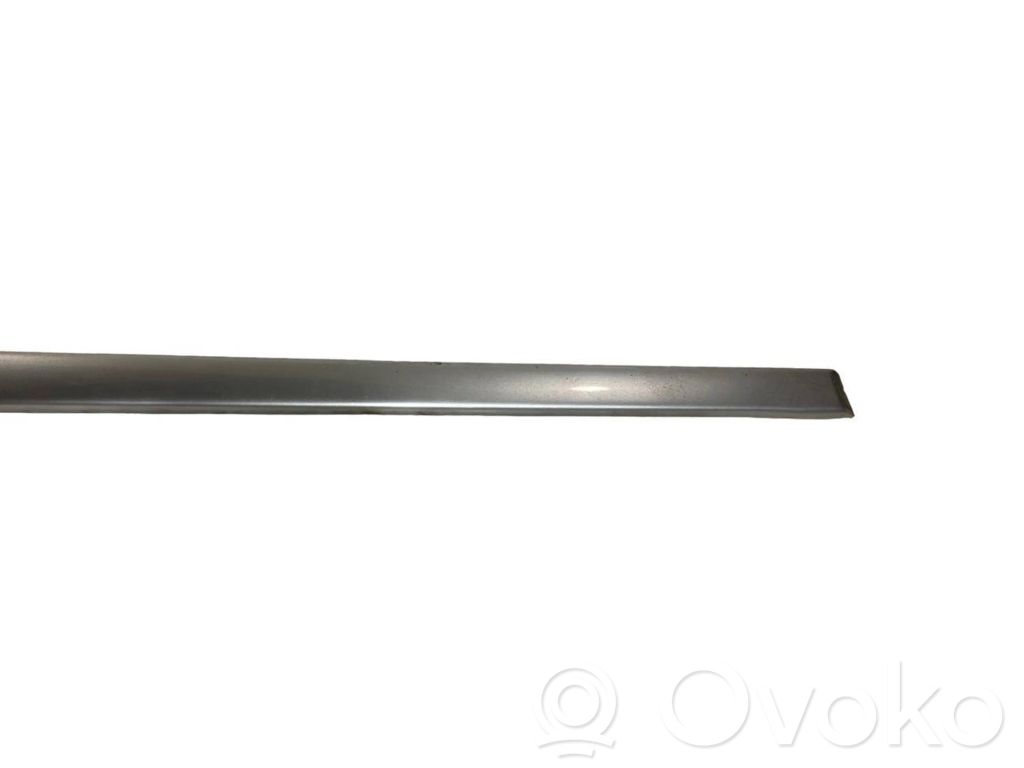 Priekšpusē durvju dekoratīvā apdare (moldings)