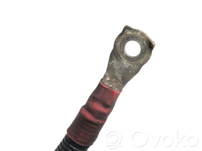 Plusa vads (akumulatora)