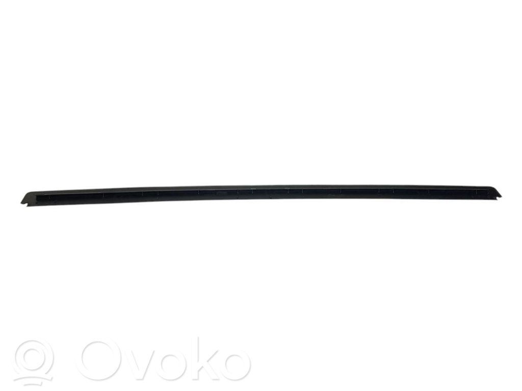 Cita veida bagāžnieka dekoratīvās apdares detaļa